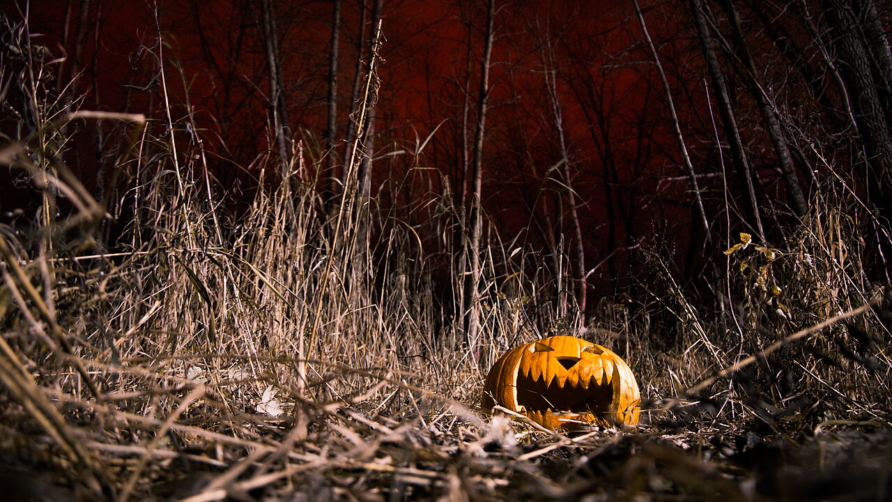 Ein geschnitzter, leuchtender Halloween-Kürbis nachts im trockenen Gras vor dunklen Bäumen